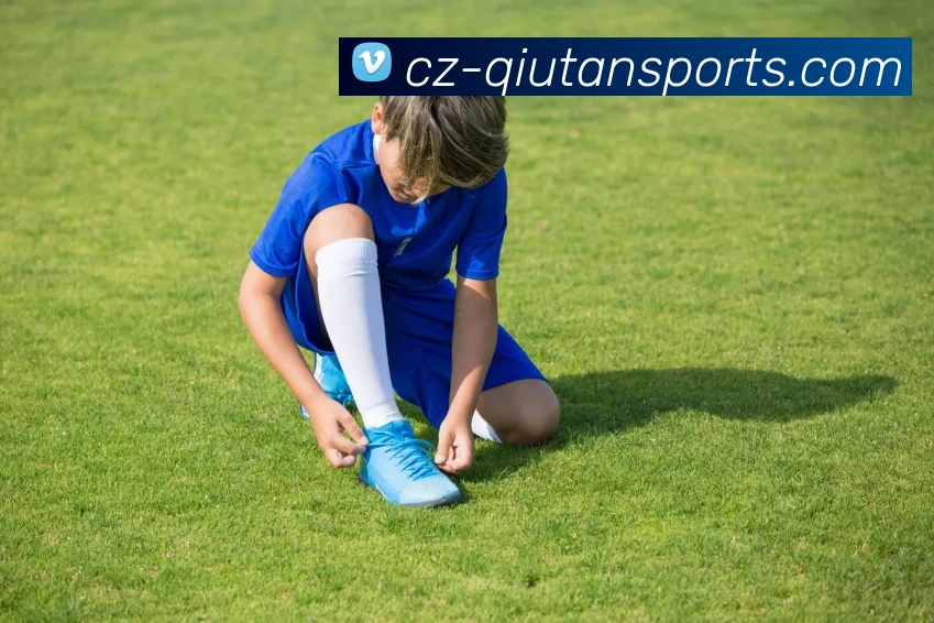 球探体育中心服务体系